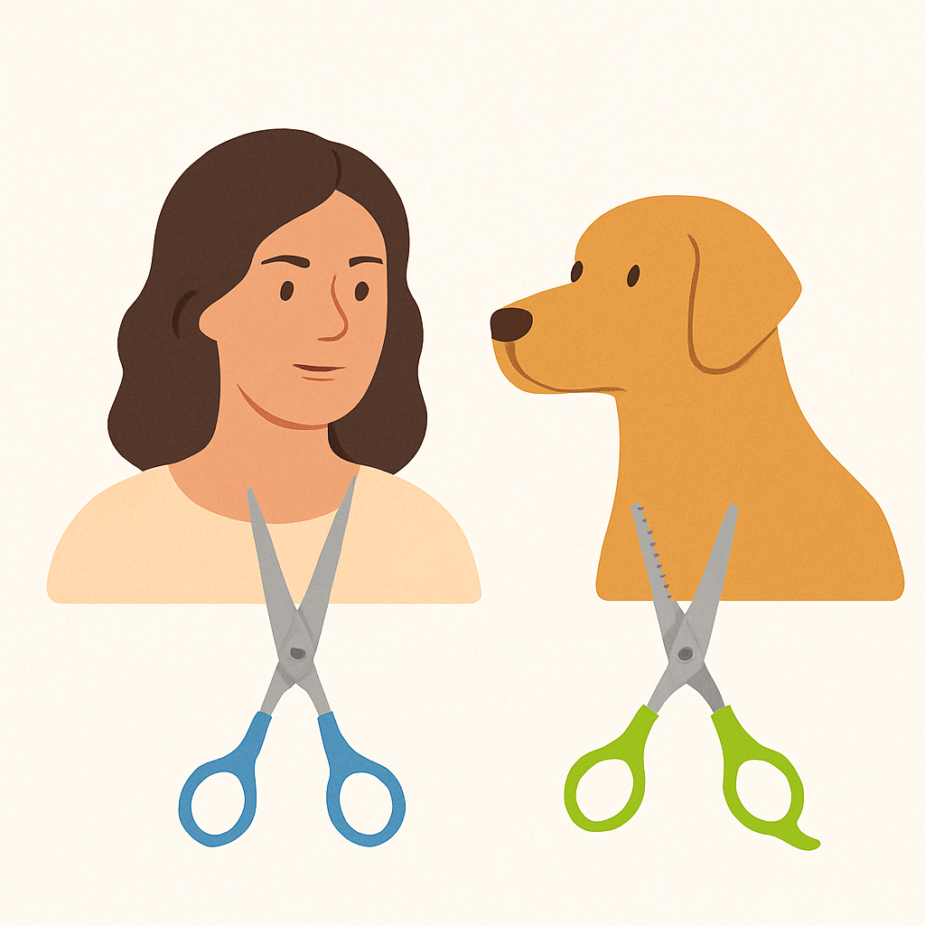 How to trim a matted dogs face with scissors, Lhasa Apso/Maltese dog ...