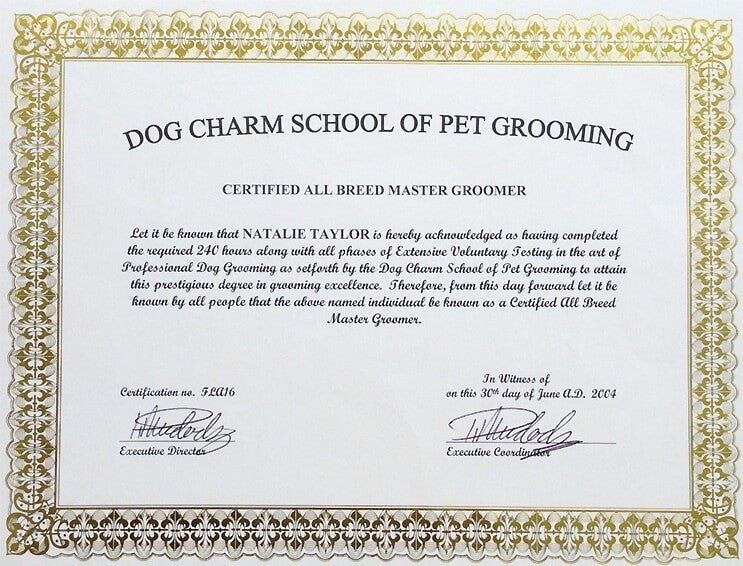 License for Dog Grooming: Essential Steps to Success
