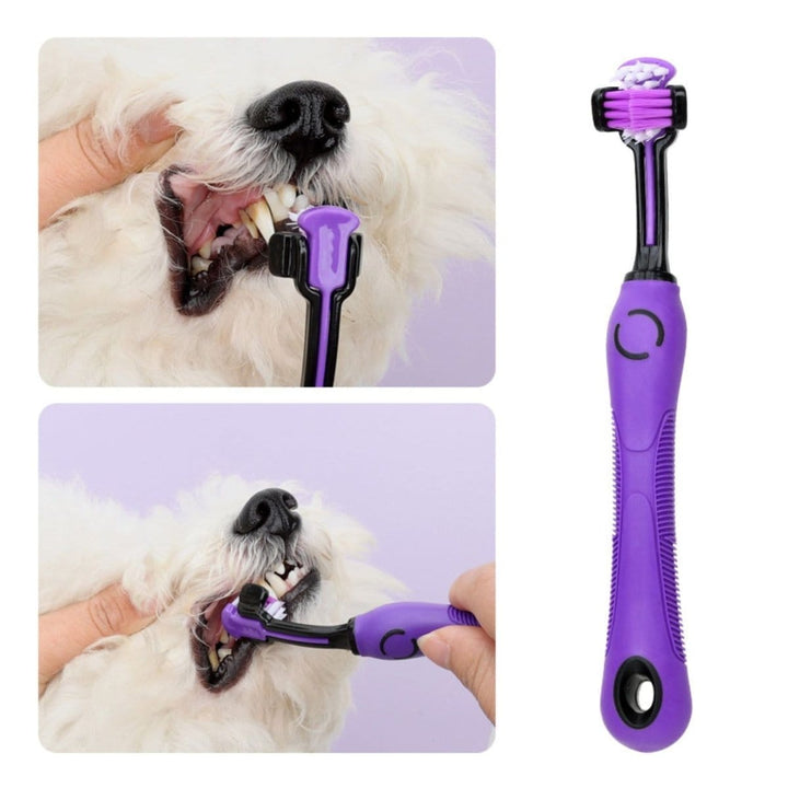 9 - in - 1 Professional Dog Grooming Kit - Dog Grooming Kit - EliteTrim