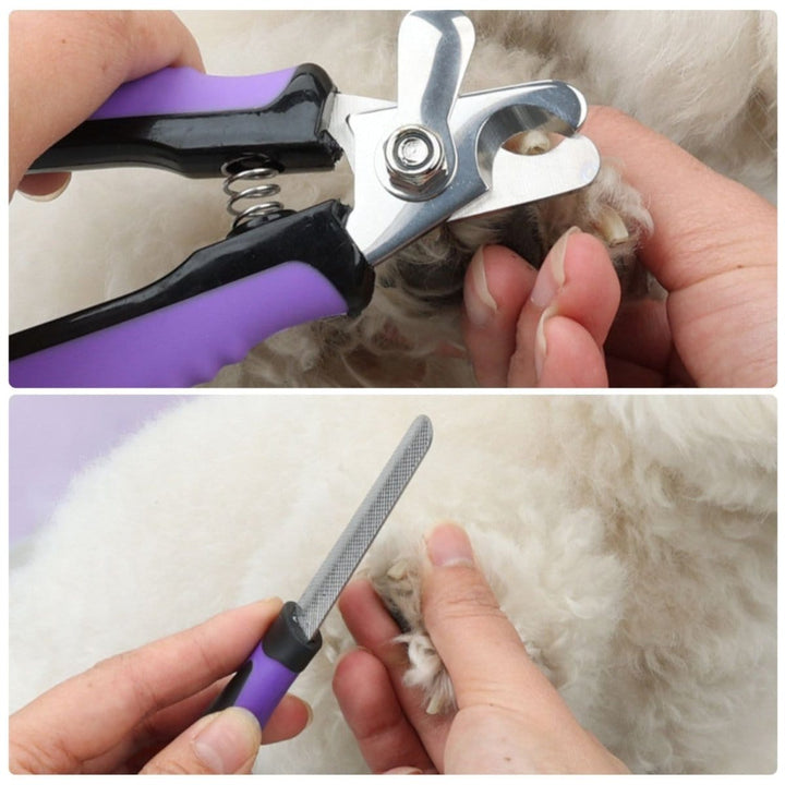 9 - in - 1 Professional Dog Grooming Kit - Dog Grooming Kit - EliteTrim