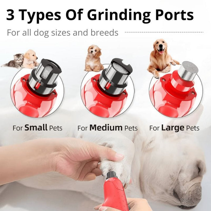 Professional Electric Dog Nail Grinder - 6 - Speed Quiet File for Medium/Large Pets with Dual LED - Dog Nail Grinder - EliteTrim