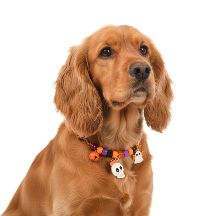 Ghost & Skull™ Halloween Pet Necklace - Pet necklace - EliteTrim Grooming