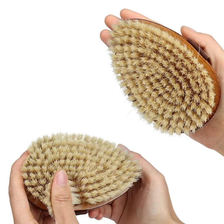 OakShine™ Bristle Brush - Dog Brush - EliteTrim Grooming