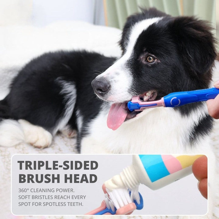 Triple - Headed Cat & Dog Toothbrush Kit - Dog Toothbrush - EliteTrim