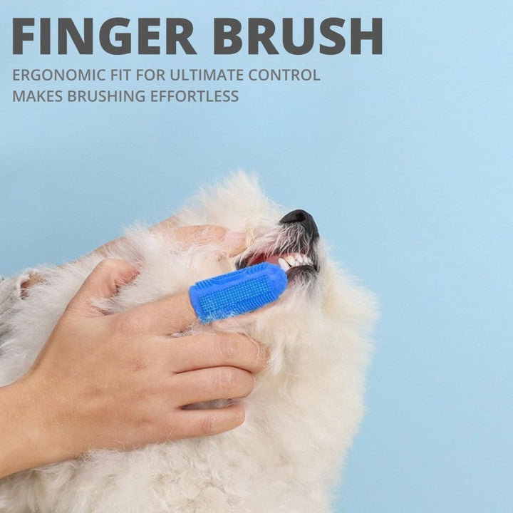 Triple - Headed Cat & Dog Toothbrush Kit - Dog Toothbrush - EliteTrim