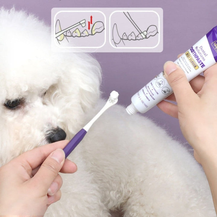 Ultra - Soft Kitten & Small Dog Toothbrush Kit - Dog Toothbrush - EliteTrim