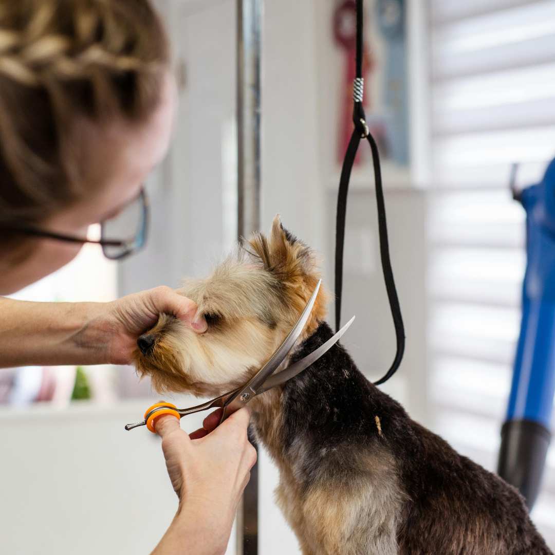 EliteTrim Grooming
