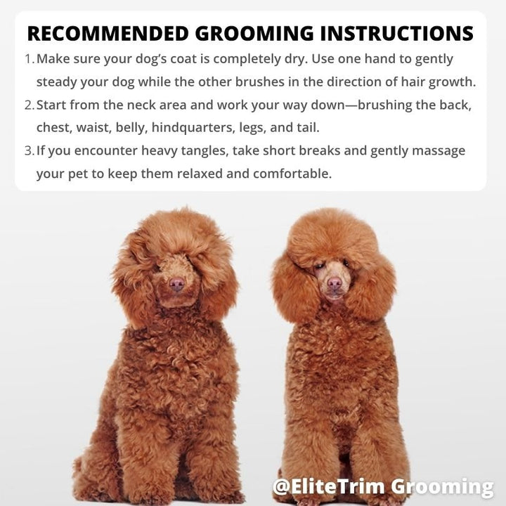 Japanese Hardwood Slicker Brush for Dogs - Dog Brush - EliteTrim
